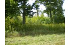 Property photo 18 - 40 Acres in 4 Tracts - Great Location!